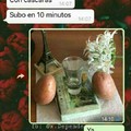 El dulce amor de las papas