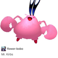 Mr.kirbs