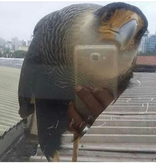 Foto no espelin kakakajkaka - meme