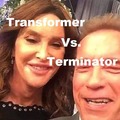 Transformer vs. Terminator