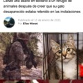 Meme de una noticia de hombre y su gato