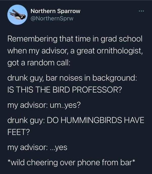 This is why I don’t drink, you just sound stupid. - meme