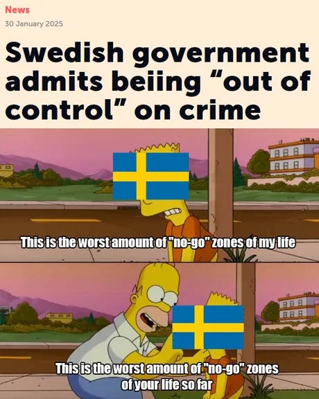 Swedish government - meme