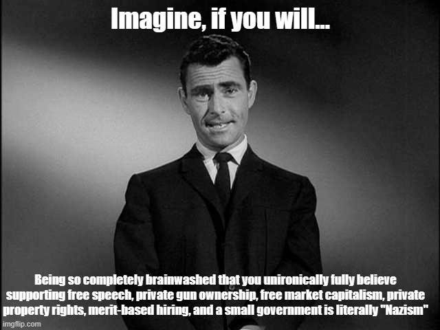Liberals, 2025 - meme