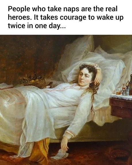 Napping is brave. You're fighting sleep twice - meme