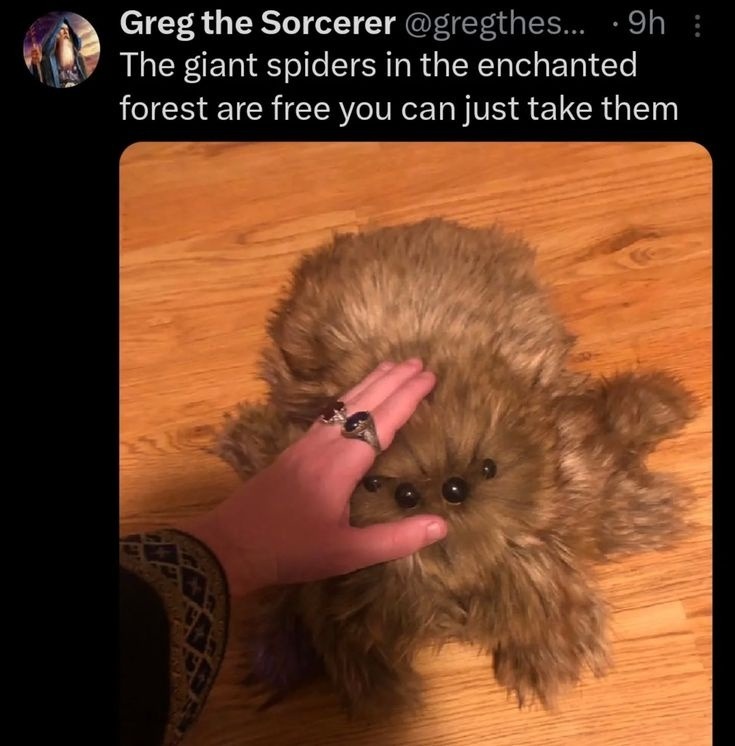 The spiders are free. Take one. No refunds. - meme