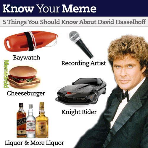 David Hasselhoff is amazing! - meme