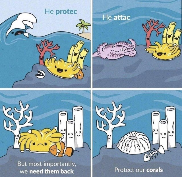 Protect the corals - meme