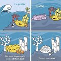Protect the corals