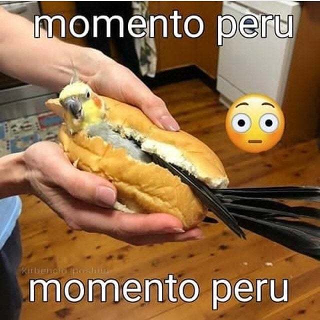 Momento Perú - meme