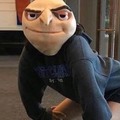 Where are the GORLS