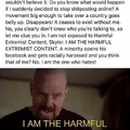 “harmful extremist content”