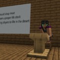 Minecraft memes