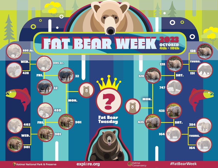 Which fat bear r u voting for? - meme