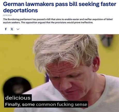 German lawmakers - meme