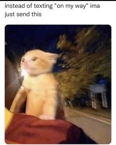 Nice - meme