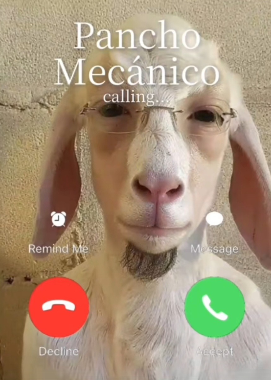 Top memes de Pancho en español :) Memedroid