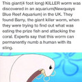 The nope worm