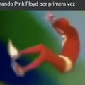 Pinflois