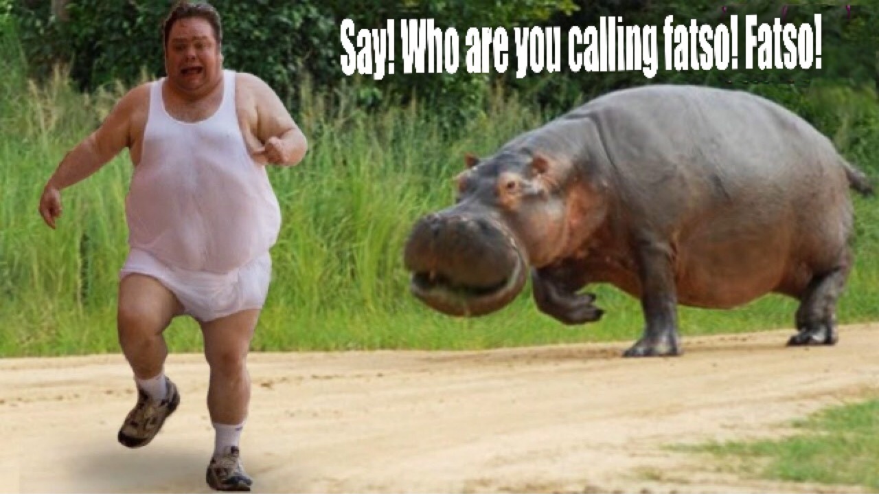 Hungry Hungry Hippo - meme