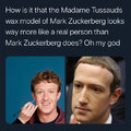 mark zuckerberg would look amazing