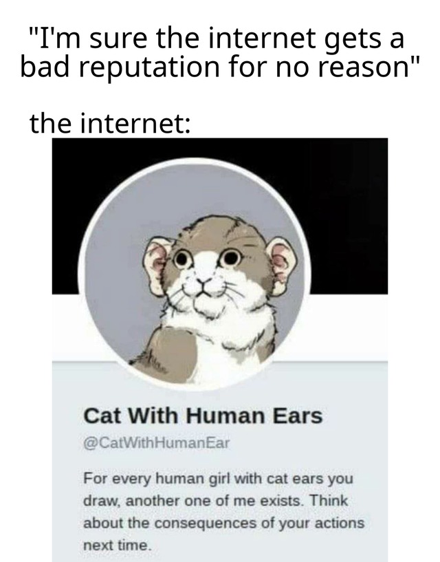 Cat with human ears - meme
