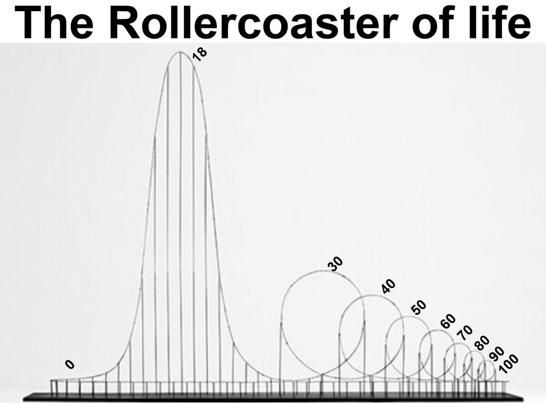 Rollercoaster of Life - meme