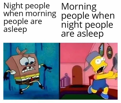 Night people vs morning people - meme