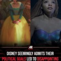Disney political goals