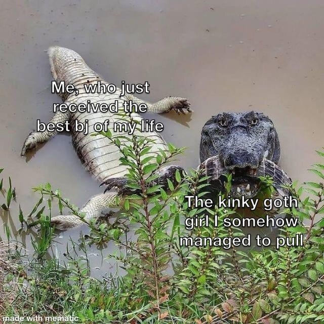 You can't tell that crocodile didn't get one - meme