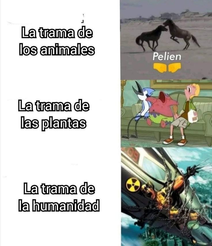Xq - meme