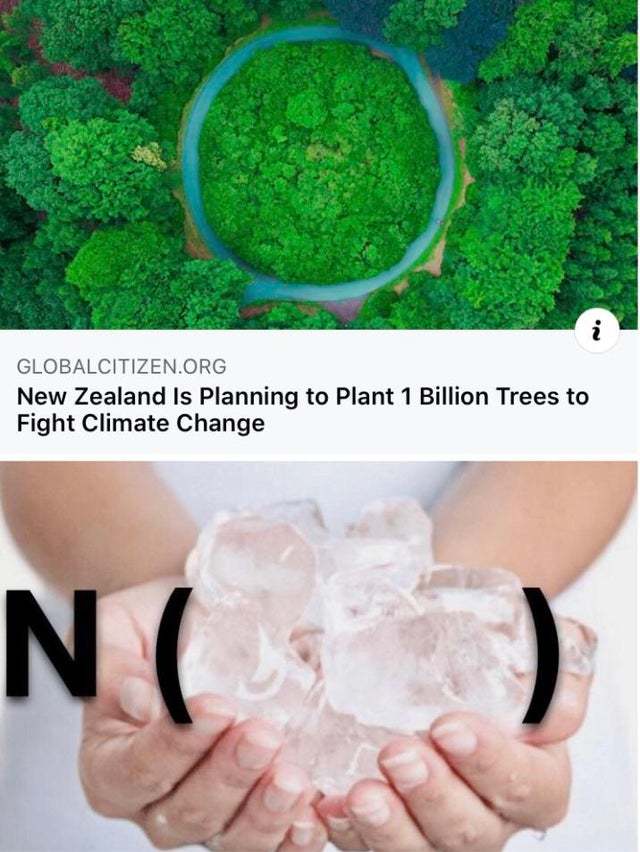 New Zealand is planning to plant 1 billion trees to fight climate change - meme