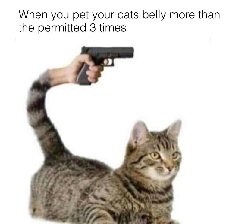 mess with the catto get the stabbo - meme