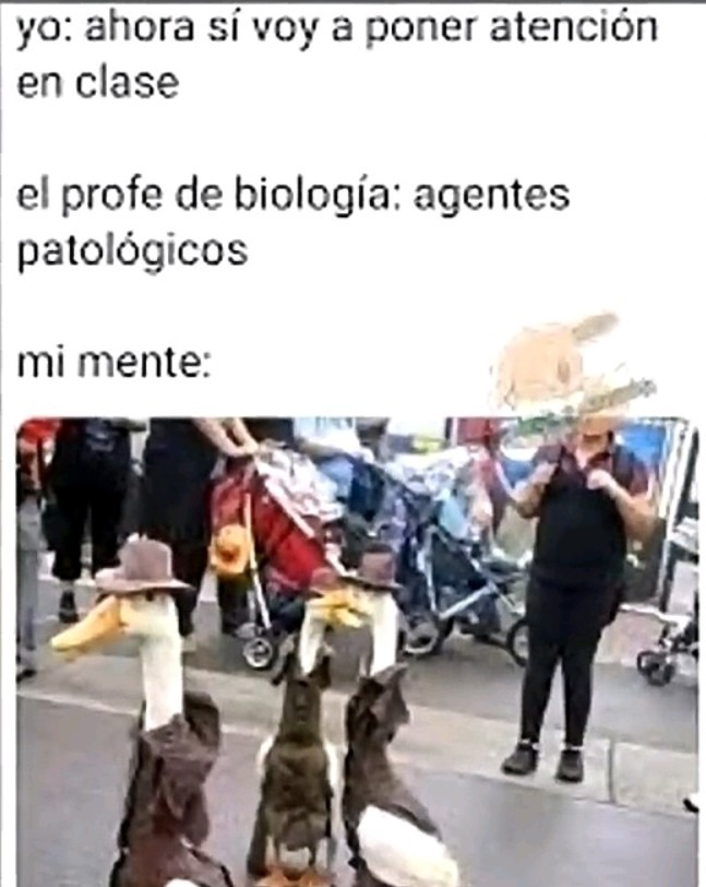 Agentes patologicos - meme