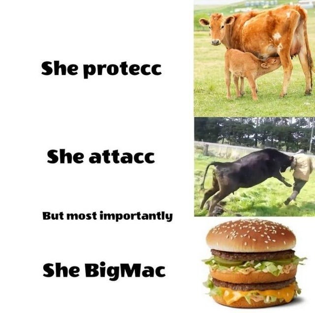 Big macs are good - meme