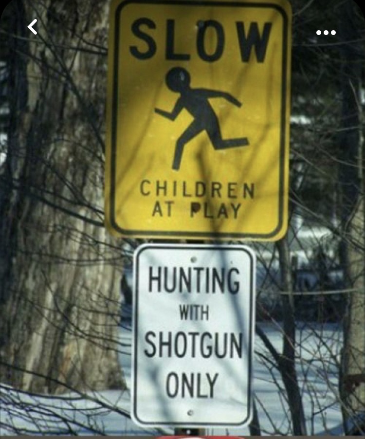 hunting with shotgun only - meme