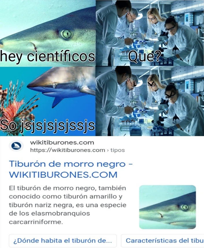 Tiburón Coca_cola_espuma - meme