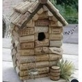 Cursed bird house