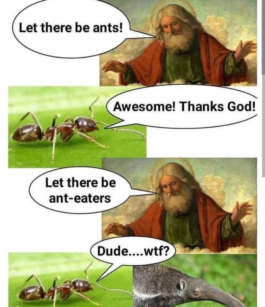 Poor ants - meme