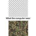 What we see vs what our computer sees