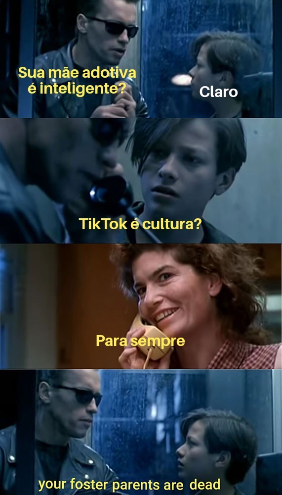 Tomara que eu tenha traduzido certo - meme