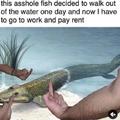 commented item thumbnail