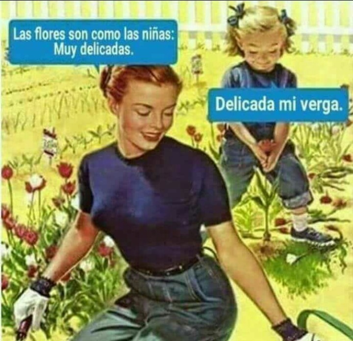Delicada mi vrg - meme