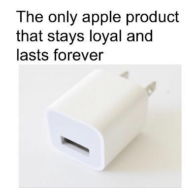 The only Apple product that stays loyal and lasts forever - meme