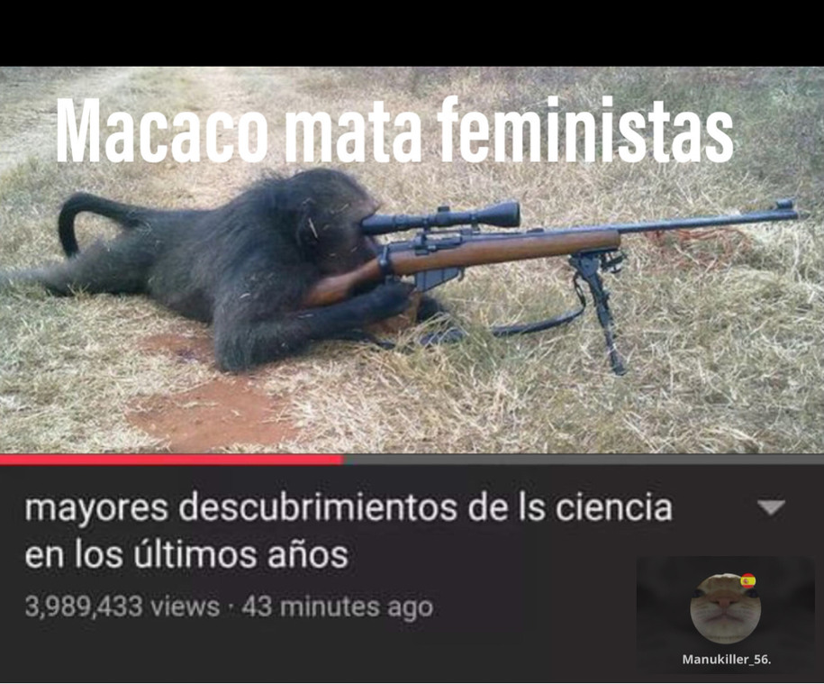 Sniper monkey - meme