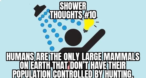 Shower thoughts #10 - meme