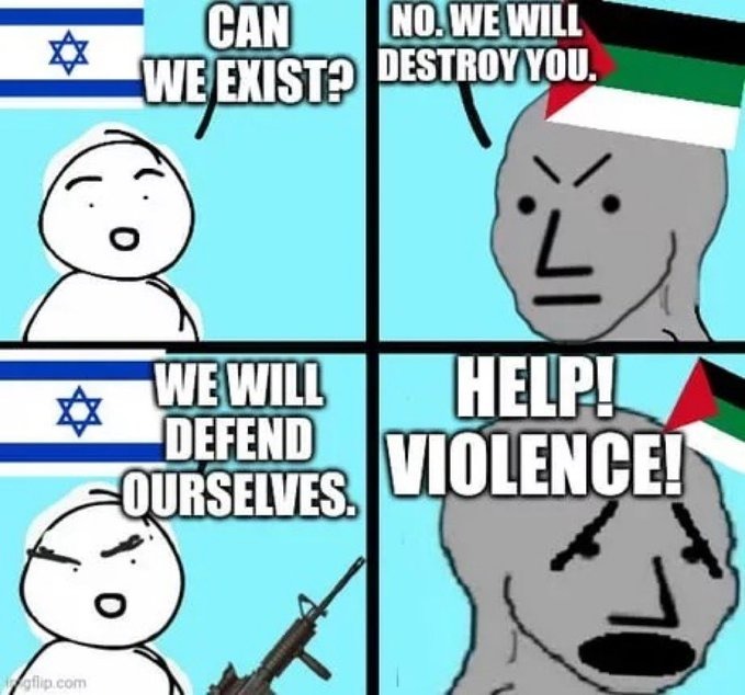 Destruyan hamas, y a los pro palestina - meme