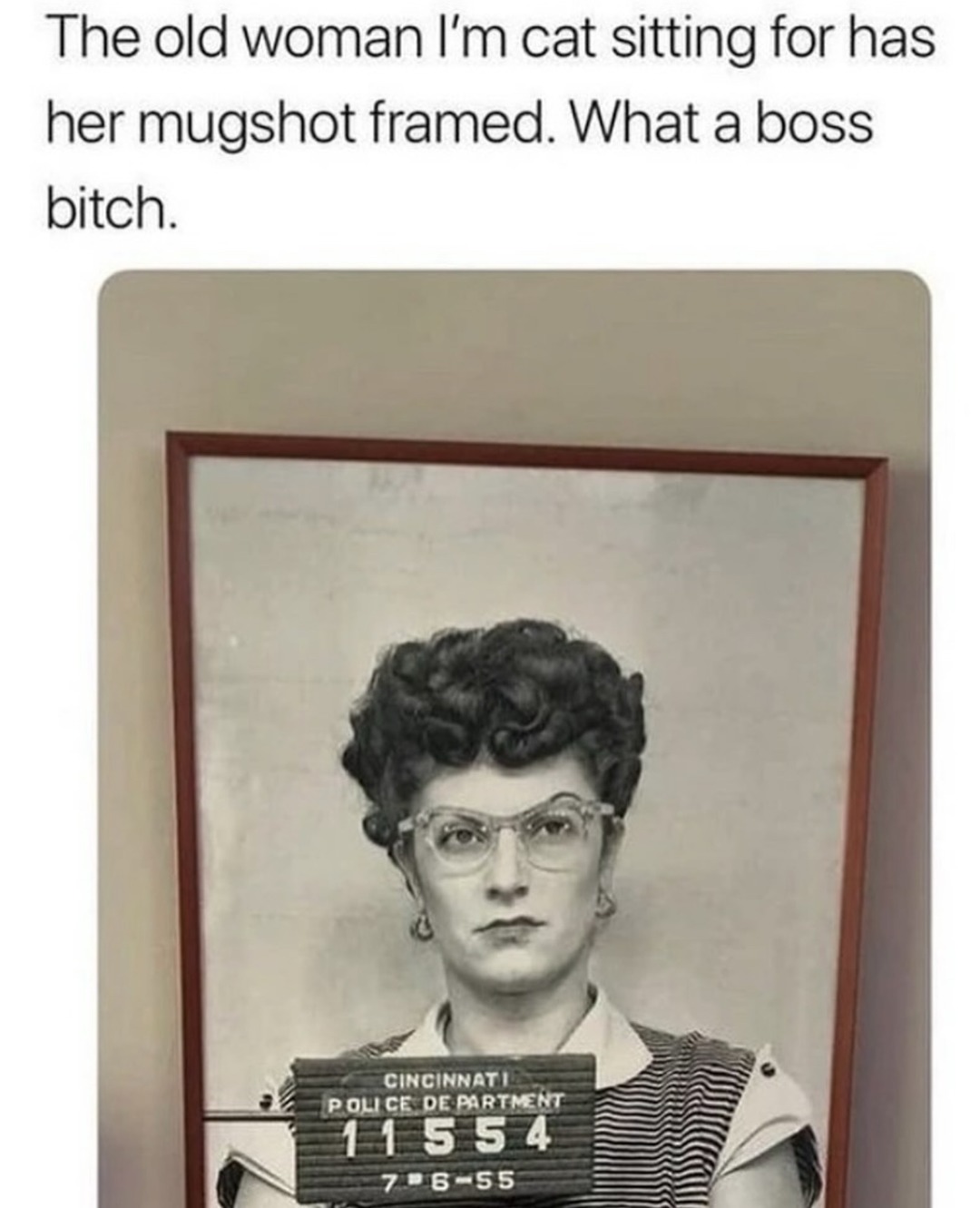 the grandma I cat-sit for framed her mugshot and I respect it - meme
