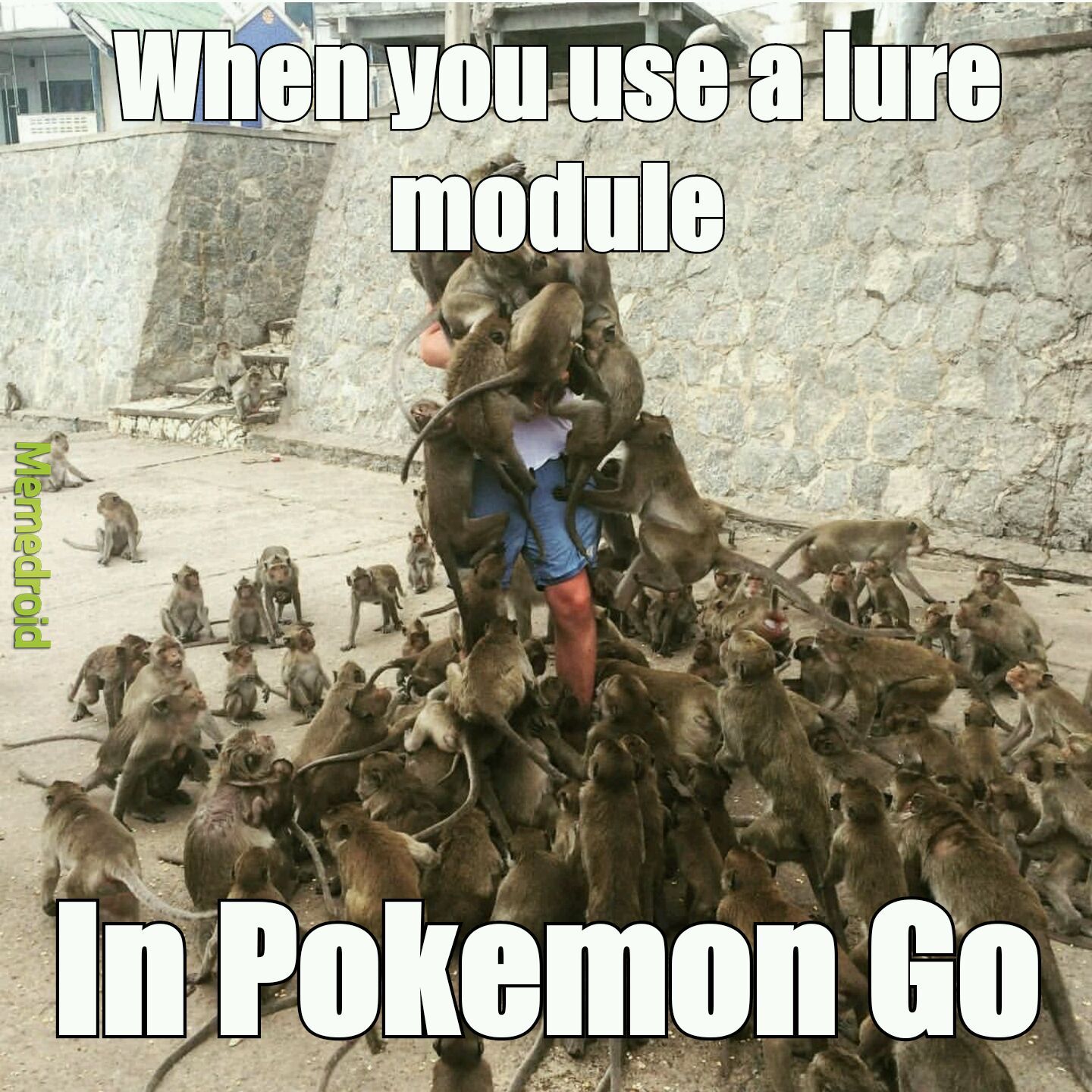 Another pokemon Go meme