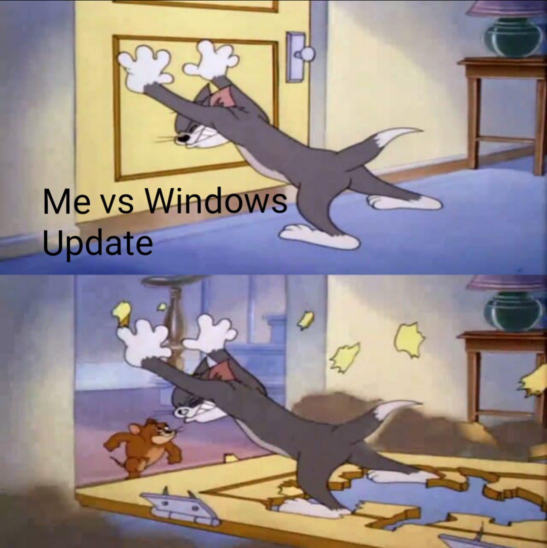 !Tired of windows updates! - meme